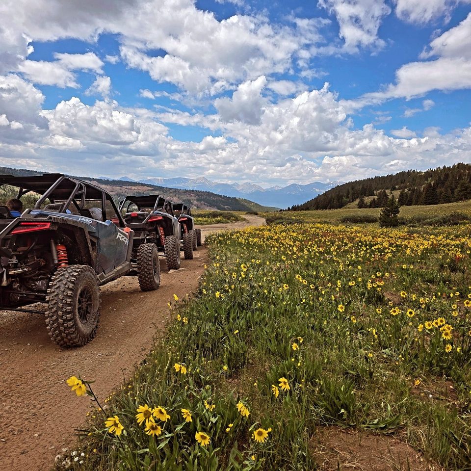 Three Polaris RZR side-by-sides on a dirt two-track through a meadow of yellow wildflowers, with the snow-streaked Sawatch Range on the horizon